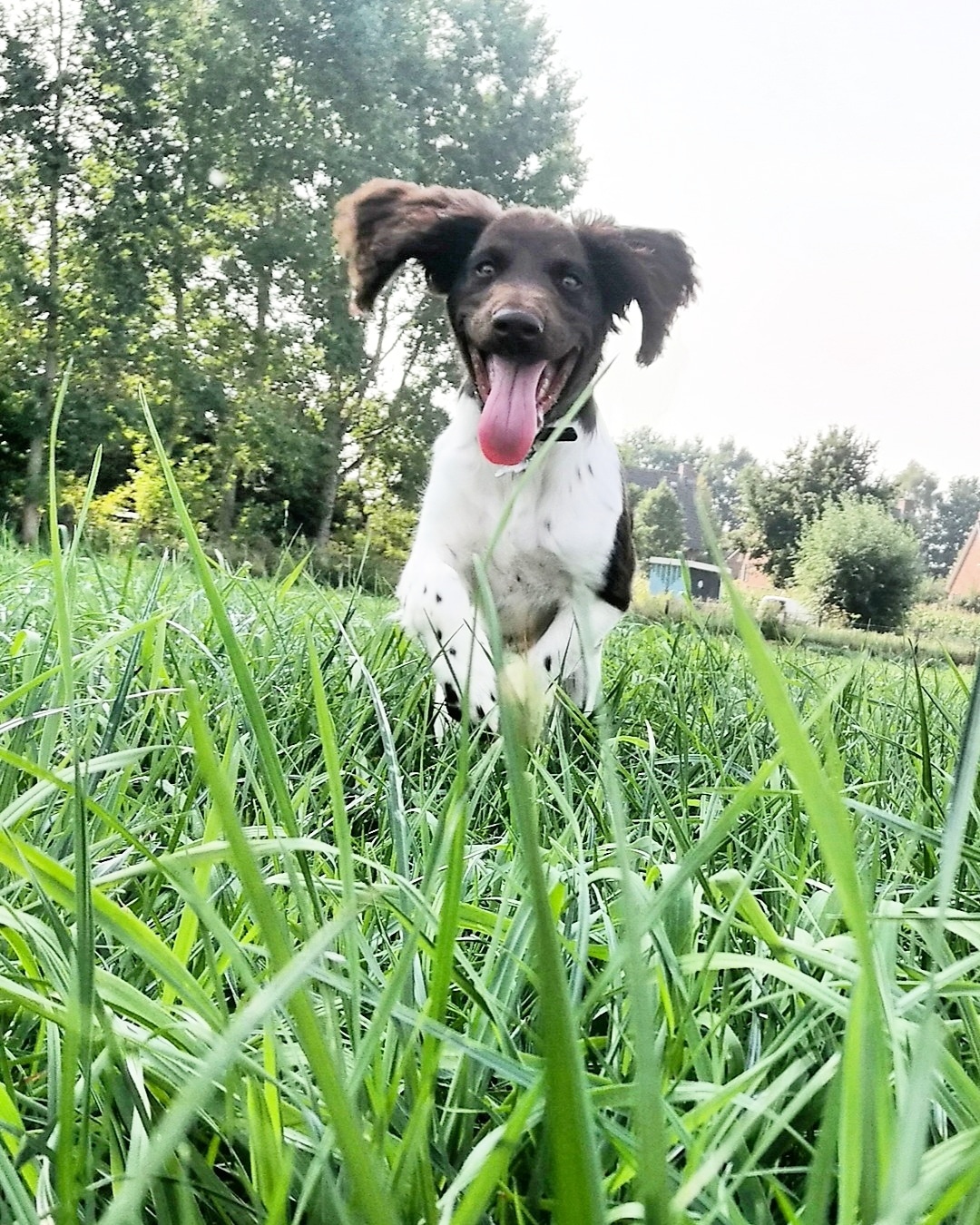 focus op de eigenaar, ook los van de lijn