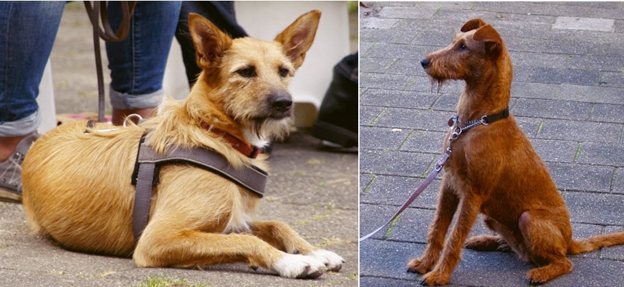 zelfbeheersing: blijven liggen of zitten